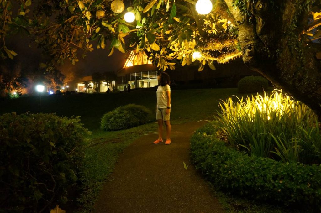 A little girl appreciating lights in the garden at night powered by clean energy.